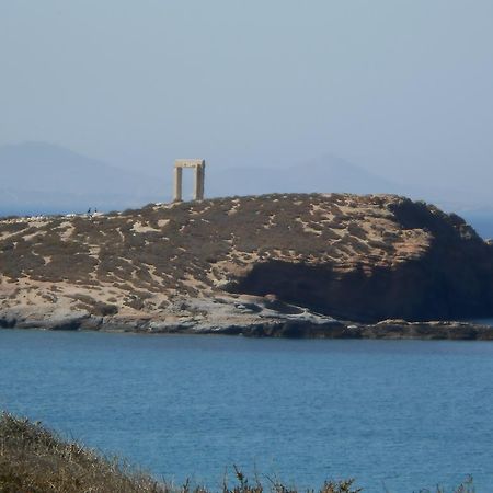 Vasiliki'S House Apartment Naxos City ภายนอก รูปภาพ