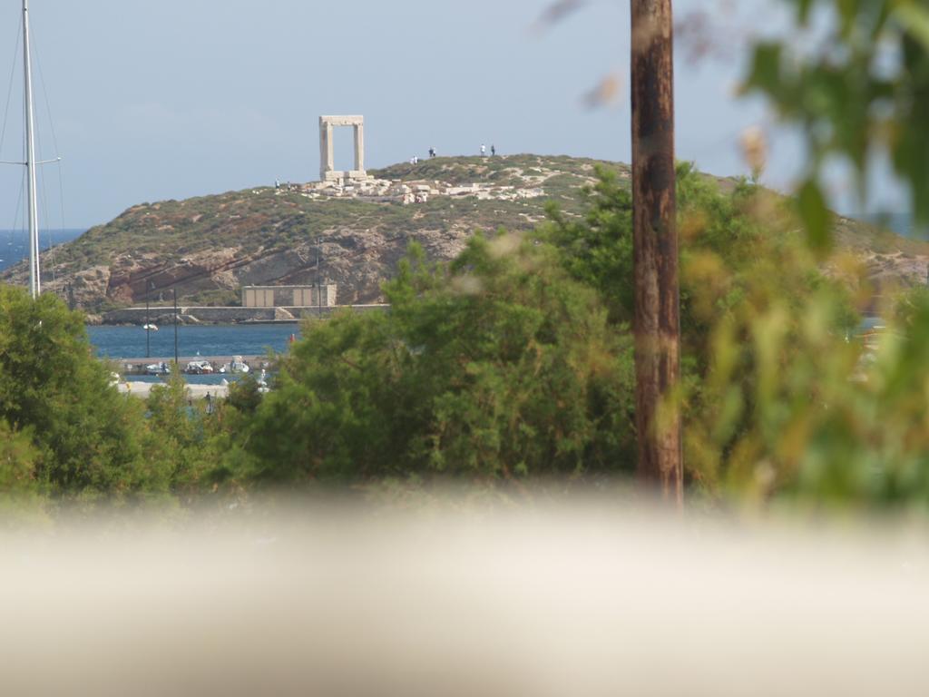 Vasiliki'S House Apartment Naxos City ภายนอก รูปภาพ